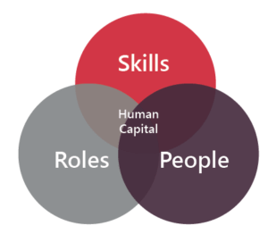 Human Capital Skills